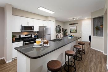 Gourmet kitchen